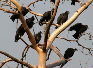 Previous Image Back to Post Next Image »