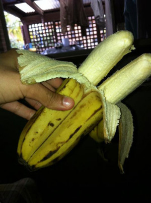 Funny photos funny double banana mutant