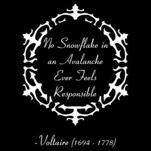 ... an avalanche ever feels responsible # voltaire # quotes # philosophy