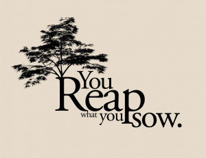 you reap what sow quotes source http quoteko com wonder inspirational ...