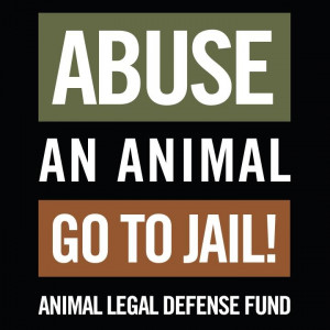 Animal Abuse Quotes And Sayings Abuse an animal, go to jail!