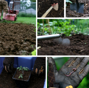 like that he includes “tend the soil” in there, which I believe ...