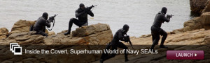 Art : M16-bearing SEALs in wetsuits, prancing on rocks on the beach
