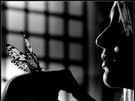 New Traditions Women...