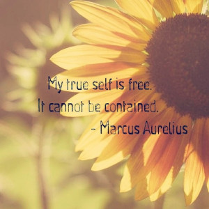 My true self is free. It cannot be contained. Marcus Aurelius Quote