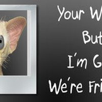 ... friends quotes or sayings photo: glad we're friends were-friends.jpg