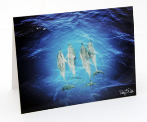 Angels of the Sea” 12 Hawaiian Dolphin Greeting Cards