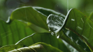 ... hippy hippies gypsy Namaste Planet Earth mother earth Gypsy Soul