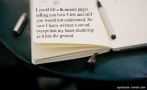 ayuliyana:and still you would not understand…