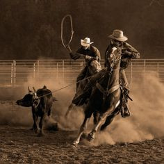 Team Roping Rodeo Quotes