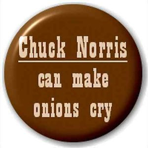Details about NEW LAPEL PIN BUTTON BADGE: CHUCK NORRIS QUOTES