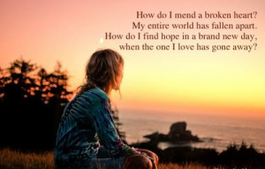How Do I Mend A Broken Heart ! ~ Break Up Quote
