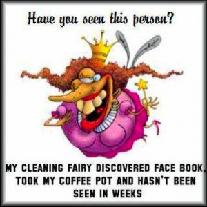 my cleaning fairy disappeared funny quote