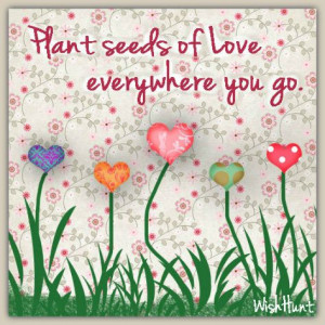 ... Ideas, Gardens Quotes, Heart Flower, Inspiration Quotes, Plants Seeds