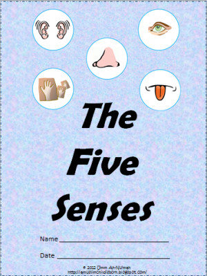 Five Senses Kindergarten Nana