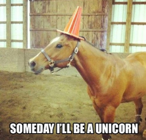 funny, horse, lol, quote, someday, text, unicorn