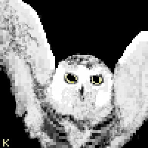 pixel art Hedwig The Owl Hedwig owl Harry Potter Kgirl wise by ...