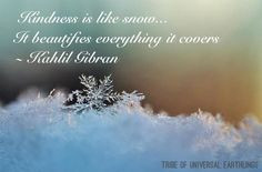Kindness is like snow - it beautifies everything it covers.