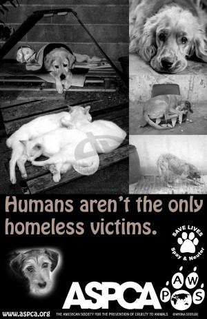 Help The Homeless Poster Homeless pet poster 1 by