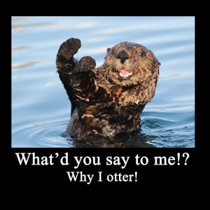 Thread: Hey! Here's an otter thread :)