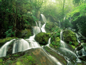 Great Smoky Mountains National Park, USA