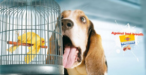 12. Funny Ad by SBP Insect killer : No insect! Frogs are jobless !