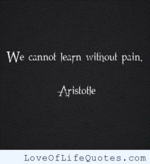 Learning is not child’s play; we cannot learn without pain.”