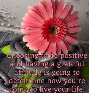 New Attitude - PMA Wednesday - 11th Edition