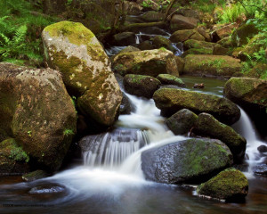 320x480 iPhone 800x600 1024x768 1280x800 1280x1024 1440x900 1600x1200 ...