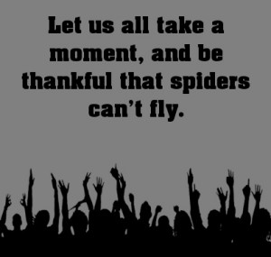 ... us all take a moment, and be thankful that spiders can’t fly. #quote