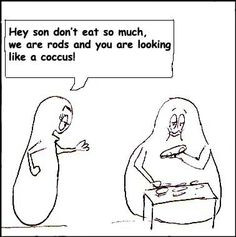 microbiology humor shapes more microbiology jokes microbiology humor ...