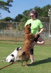 Total Wellness Cleanse Whole Body Detox