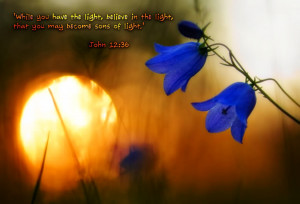 The light bible sunset flowers scriptures