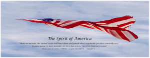 Home » The Spirit of America Collection