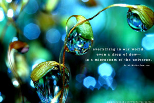 Everything In Our World, Even A Drop Of Dew Is A Macrocosm Of The ...