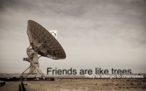 Friends are like trees they’re allergic to chainsaws.