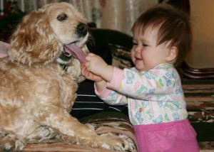 ... funny baby and dog picture .funny baby picture and photo .funny baby