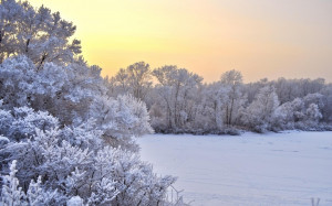 Winter Wonderland Sonnenaufgang Hintergrundbilder und frei Fotos