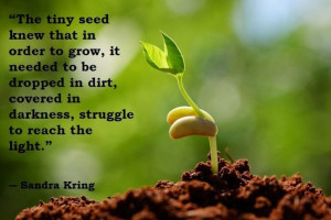 The tiny seed knew that in order to grow, it needed to dropped in ...