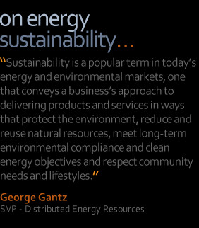 Sustainability is a term that conveys a business's approach to ...
