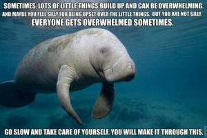 Wise words from a mermaid manatee