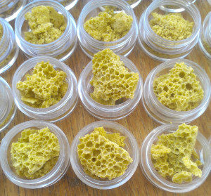 Purple Shatter Concentrate