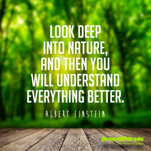 Look deep into nature, and then you will understand everything better ...