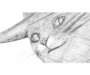 Puss in Boots Puss In Boots Face Coloring Pages