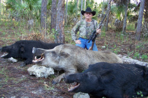 Picture Gallery > Wild Big Boar Hunting