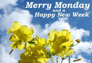 Merry Monday & Happy New Week greeting yellow flowers blue sky clouds ...