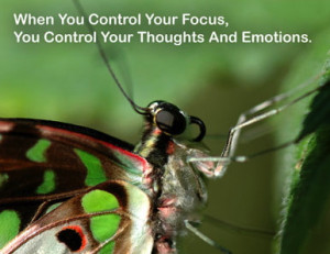 Sunday's Inspiration 05/27/13~ Why FOCUS matters!