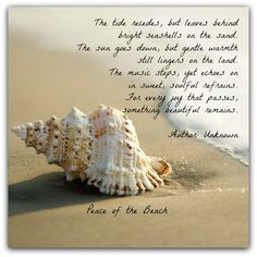 THE TIDE The tide recedes, but leaves behind bright seashells on the ...
