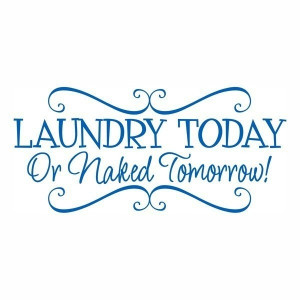 Laundry Today or Naked Tomorrow vinyl wall by OnDisplayGraphix