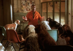 ... reserved titles dr dolittle 2 names eddie murphy characters dr john